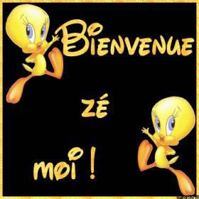 bienvenue